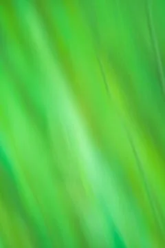 Abstract green color gradient blurred background. Minimal blurred style trend Fotos Stock