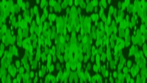 Abstract green dappled seamless loop pattern for tropical nature backgrounds Stock Footage 333441957