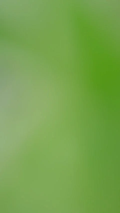 Abstract green defocused background with slight looping motion. Vertical vide Stock Footage 279464450