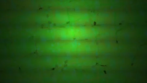 Abstract Green Digital Glitch Background with Flickering Static Noise. Stock Footage 340517923
