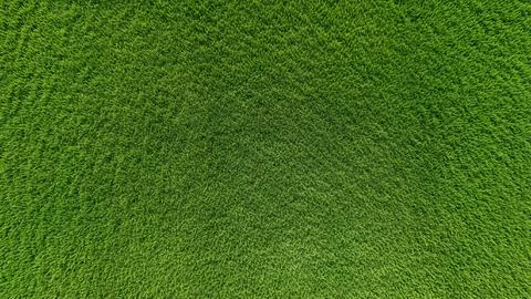 Abstract green digital pixel texture with grainy noise and glitch effects f.. Foto stock