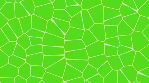 Abstract Green Dynamic Voronoi Cellular Pattern Loop Stock Footage 333080922