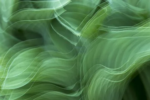 Abstract green exposure background Stock Illustration