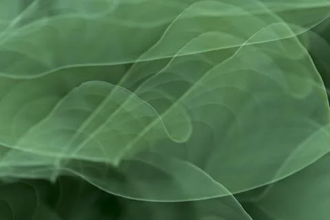 Abstract green exposure background Stock Illustration