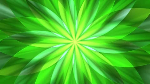 Abstract green floral pattern effect Stock Footage 11640244