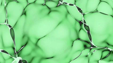 Abstract Green Fluid Pattern Background with Smooth Wave Texture Stock Illustration