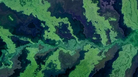 Abstract green fluid texture background, moving like a flow of water. Видео 344640856