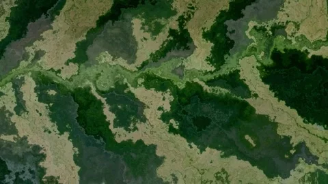 Abstract Green Fluid Texture Background Видео 344640863