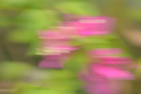 Abstract Green Foliage Motion Background Stock Photos