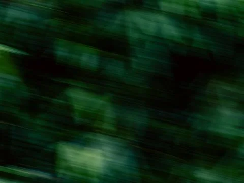 Abstract Green Forest Motion Blur, Intentional Camera Movement Nature Textu.. Ilustração Stock
