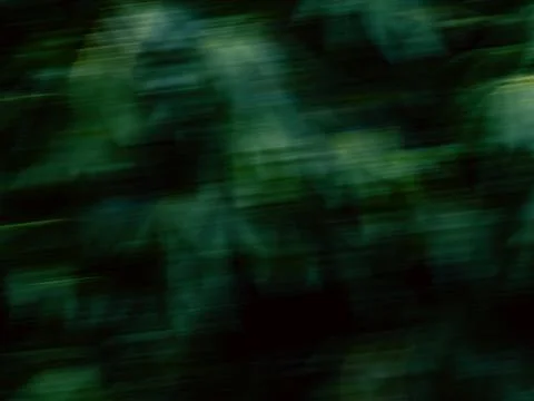 Abstract Green Forest Motion Blur, Intentional Camera Movement Nature Textu.. Stock Photos