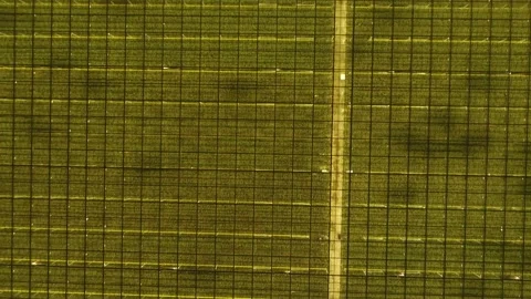 Abstract green geometric background. Illuminated greenhouses at night. Aerial 動画素材 153922232