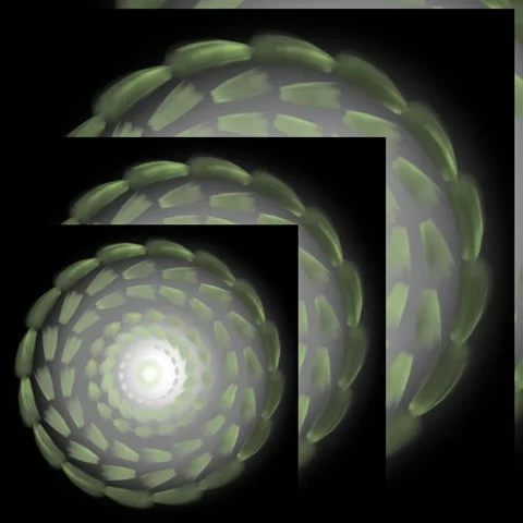 Abstract Green Geometric Flower Scale Spiral Loop Stock Footage 333864695