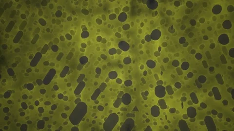 Abstract Green Geometric Pattern with Vibrant Yellow Kaleidoscopic Motion S.. Stock Footage 343687853