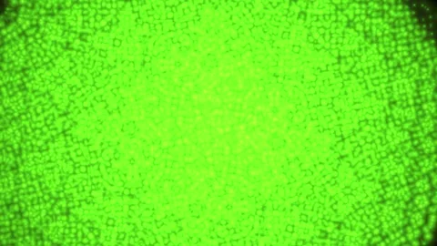 Abstract Green Geometric Patterns Under Microscope. Stock Footage 333916315