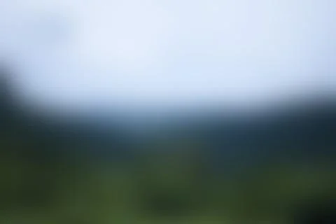 Abstract green gradient background, ideal for creating a natural, peaceful,.. Stockfoto's