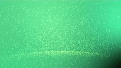 Abstract green gradient background with subtle speckles and light streaks for di Stock Footage 319826506