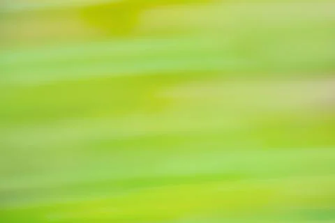 Abstract green gradient effect blurred colorful backdrop...Soft gradient back Stock Photos