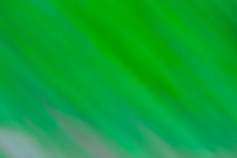 Abstract green gradient effect blurred colorful backdrop...Soft gradient back 스톡 사진