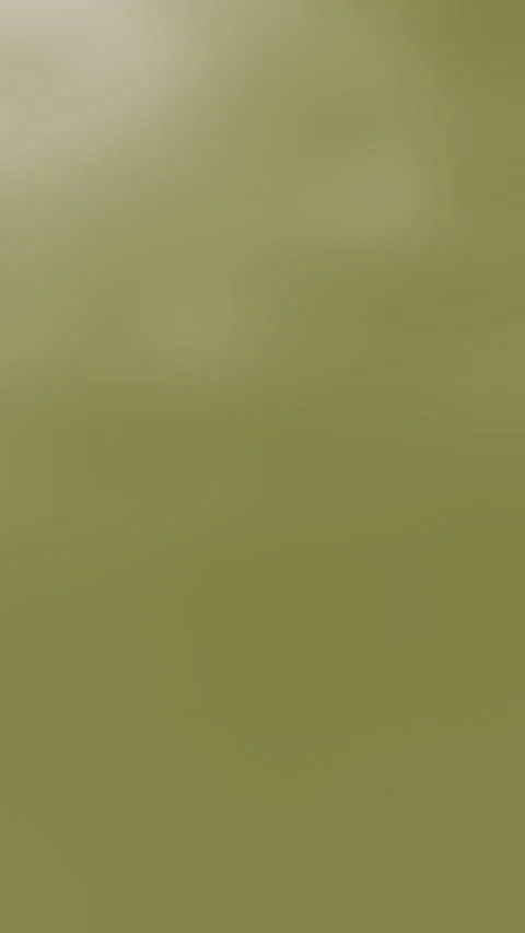 Abstract Green Gradient Shifting in Soft Blurred Background 스톡 동영상 335498066