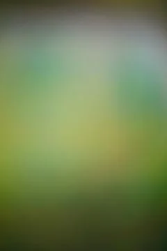Abstract Green Gradient Texture Background for Creative Design Projects Stock Photos
