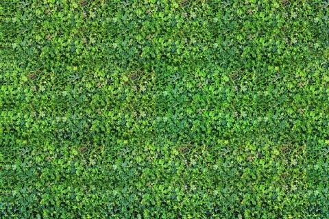 Abstract green grass floor background Stock Illustration