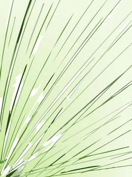 Abstract green grass. vector abstract green grass. vector Copyright: xZoon... Foto stock