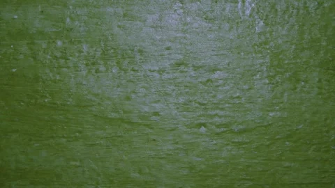 Abstract Green Grunge Wall Texture Background Loop Stock Footage 315477242