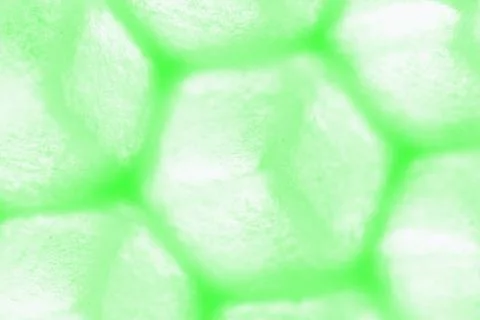 Abstract green hexagon pattern Stock Photos