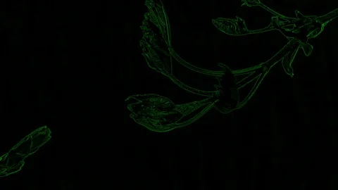 Abstract Green Leaf on a Black Background Video stock 129288271