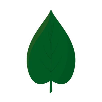 Abstract Green Leaf Stock Illustration