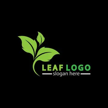 Abstract green leaf logo icon vector design isolated on black background. Lan Stock Illustration