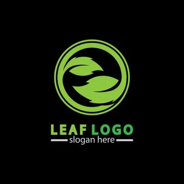 Abstract green leaf logo icon vector design isolated on black background. Lan Stock Illustration