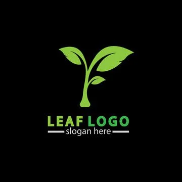Abstract green leaf logo icon vector design isolated on black background. Lan Stock Illustration