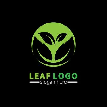 Abstract green leaf logo icon vector design isolated on black background. Lan Stock Illustration