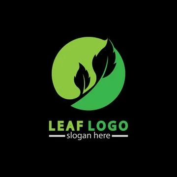 Abstract green leaf logo icon vector design isolated on black background. Lan Stock Illustration
