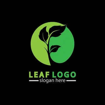 Abstract green leaf logo icon vector design isolated on black background. Lan Stock Illustration