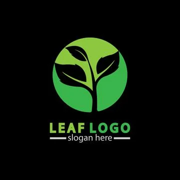 Abstract green leaf logo icon vector design isolated on black background. Lan Stock Illustration