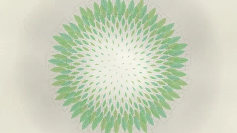 Abstract Green Leaf Mandala Pattern Animation - Eco Nature Background Stock Footage 346660588