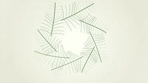 Abstract Green Leaf Pattern Swirls, Natural Organic Design, Minimalist Natu.. Stock Footage 346660118