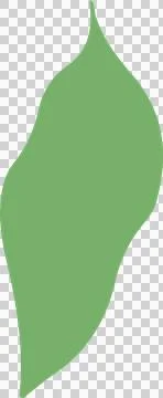 Abstract green leaf-like shape with smooth curves is floating on transparent Stock Illustration