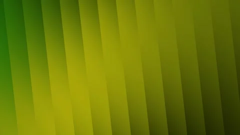 Abstract Green Leaf Texture Background with Bright Natural Light Stock Footage 340047408