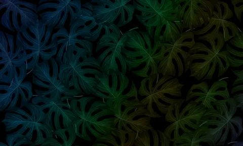 Abstract green leaf texture, jungle leaf seamless floral pattern background. Stock Illustration