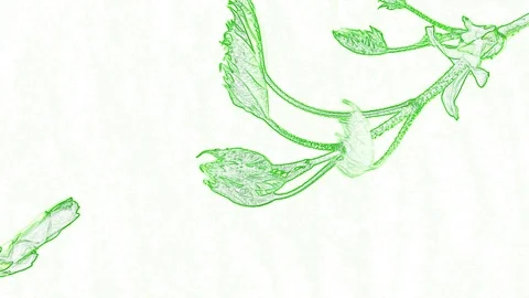 Abstract Green Leaf on White Background Stock Footage 129288418