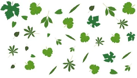 Abstract green leaves spring, summer vector art. Stock Illustration