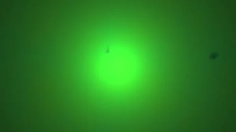 Abstract Green Light Burst Background with Subtle Particles. Stock Footage 333916336