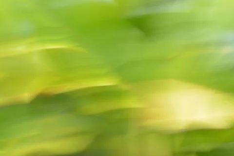 Abstract Green Light Motion Background Stock Photos