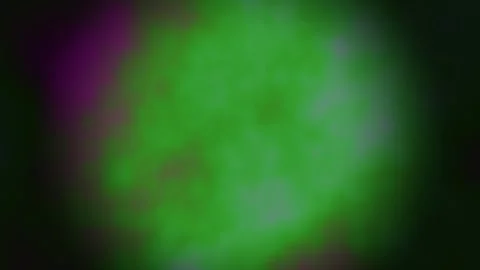 Abstract green light pattern fills dark background Stock Footage 338131303