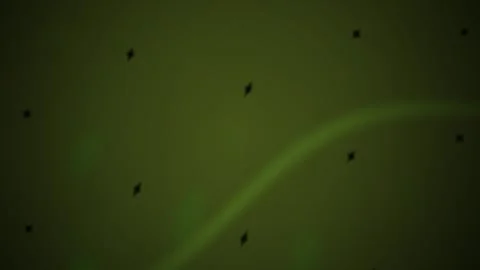 Abstract Green Light Pattern Moving Across Dark Background. Stock Footage 341793248