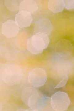 Abstract green light texture Stock Photos